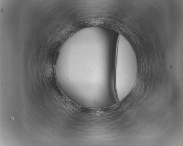 X0000069390704200605150943