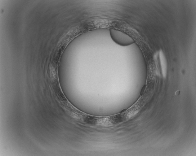 X0000069390705200605150943