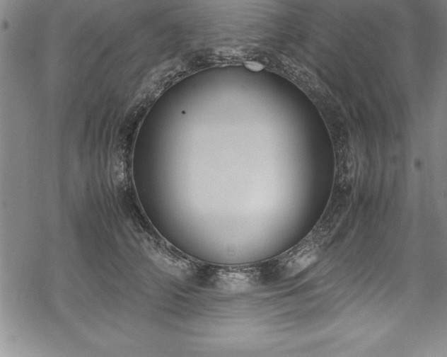 X0000069390706200605150943