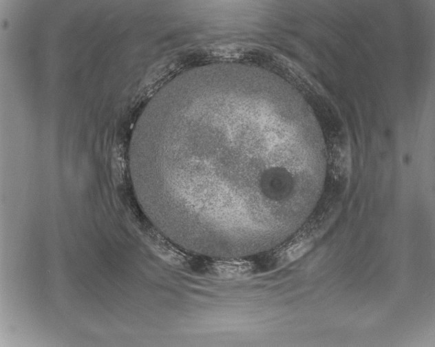 X0000069390707200605150943