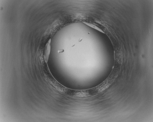 X0000069390708200605150943