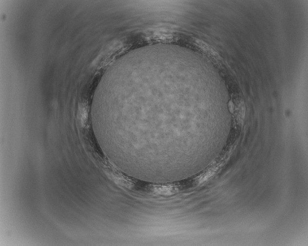 X0000069390709200605150943