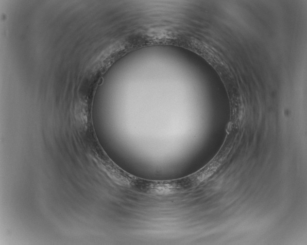 X0000069390710200605150943