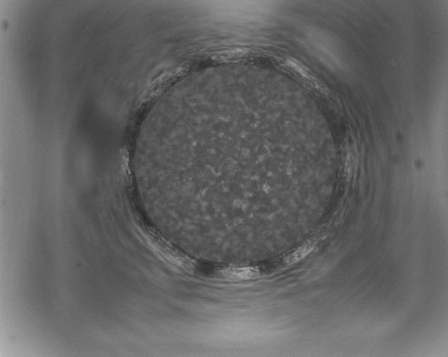 X0000069390711200605150943