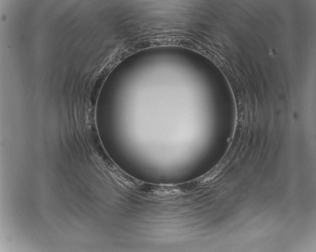 X0000069390712200605150943