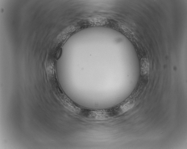 X0000069390713200605150943