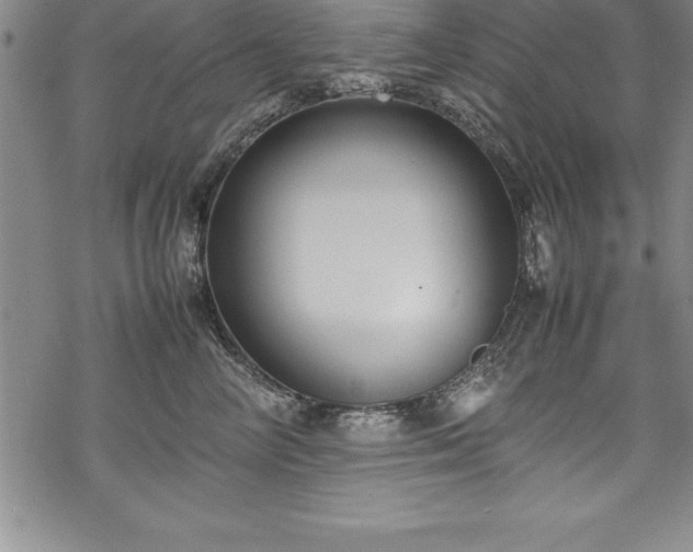 X0000069390714200605150943