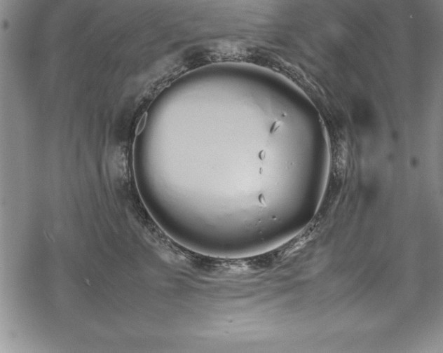 X0000069390715200605150943