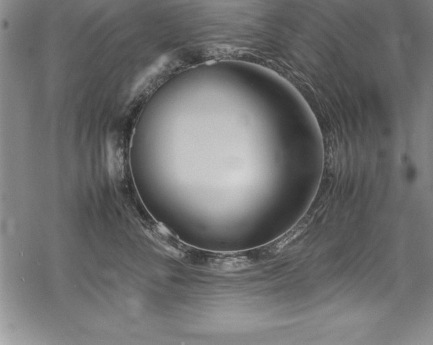 X0000069390716200605150943