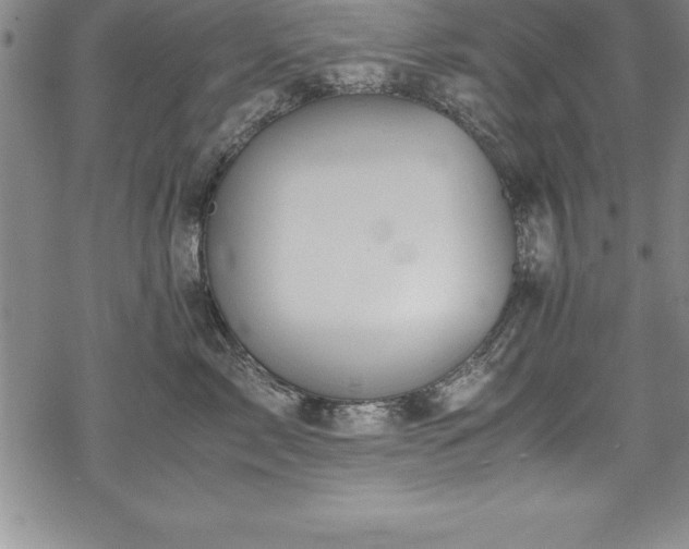 X0000069390717200605150943