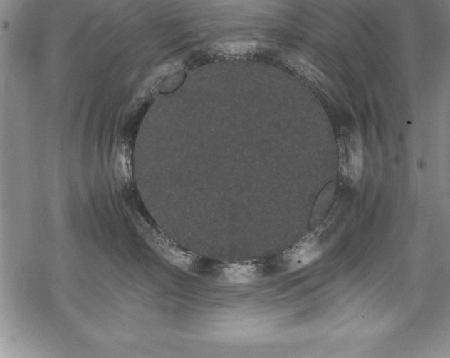 X0000069390718200605150943