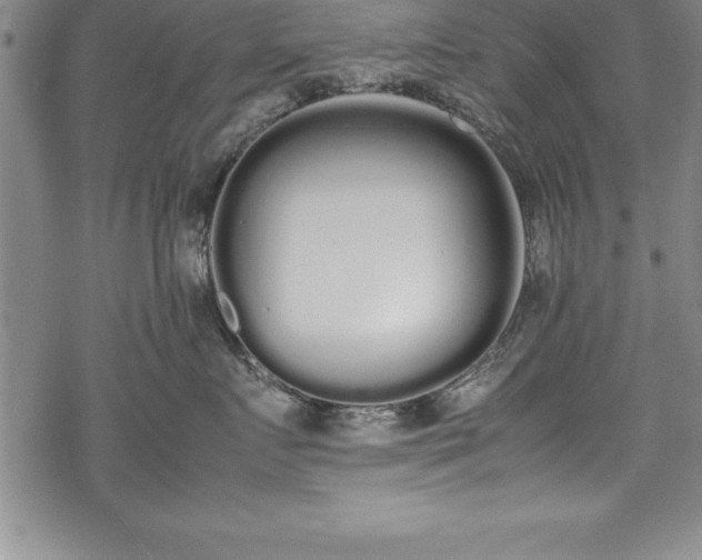 X0000069390719200605150943