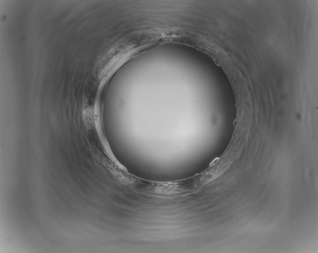 X0000069390720200605150943