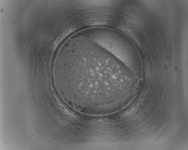 X0000069390721200605150942