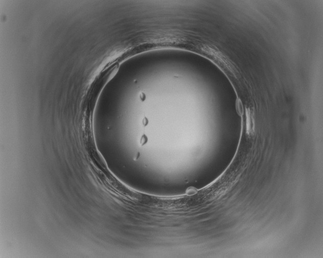 X0000069390723200605150942