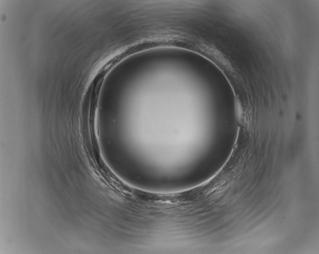 X0000069390724200605150942