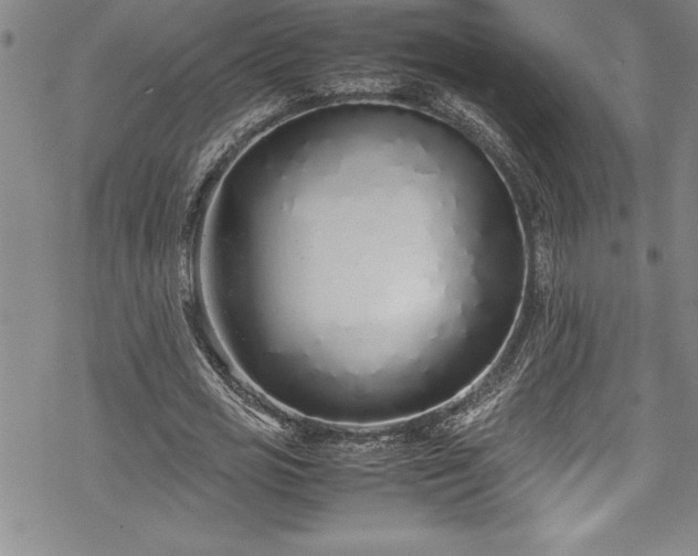 X0000069390725200605150942