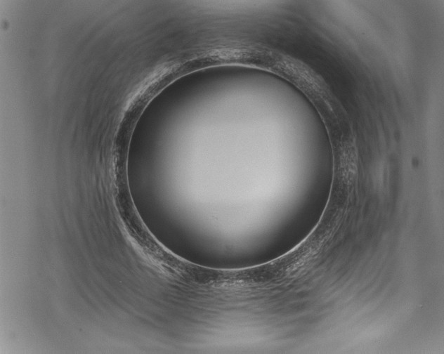 X0000069390730200605150942