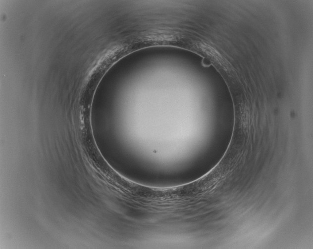 X0000069390731200605150942