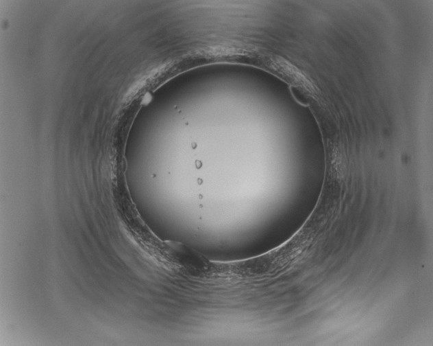 X0000069390732200605150942