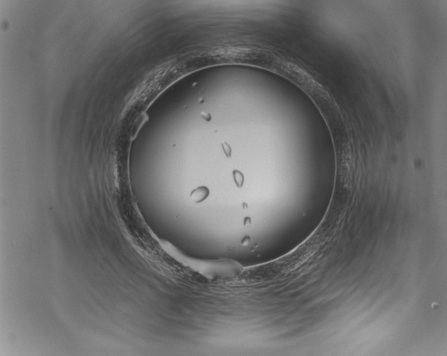 X0000069390734200605150942