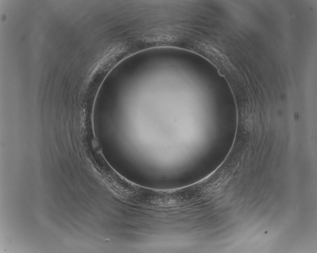 X0000069390735200605150942