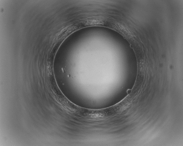 X0000069390741200605150942