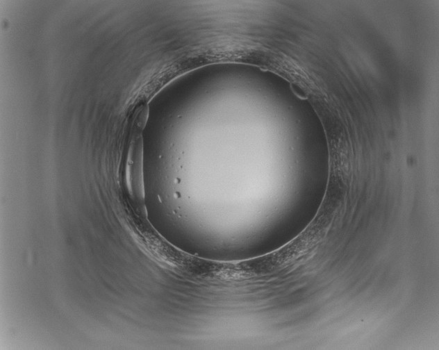 X0000069390742200605150942