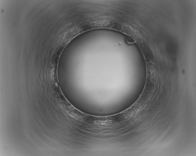 X0000069390745200605150943