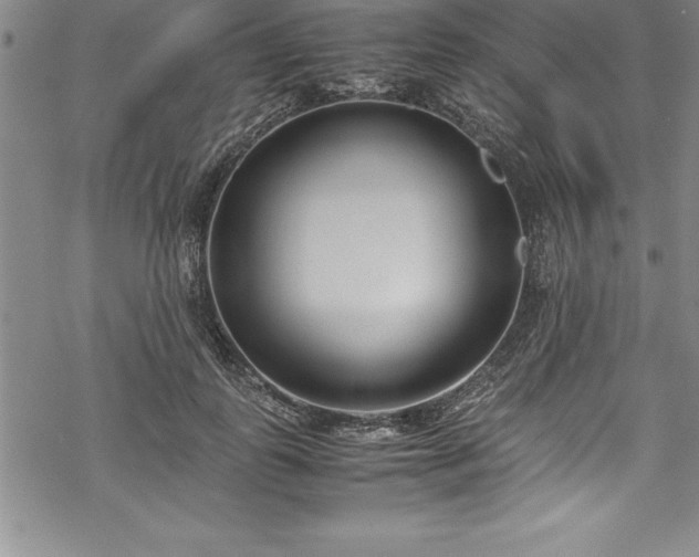 X0000069390747200605150943