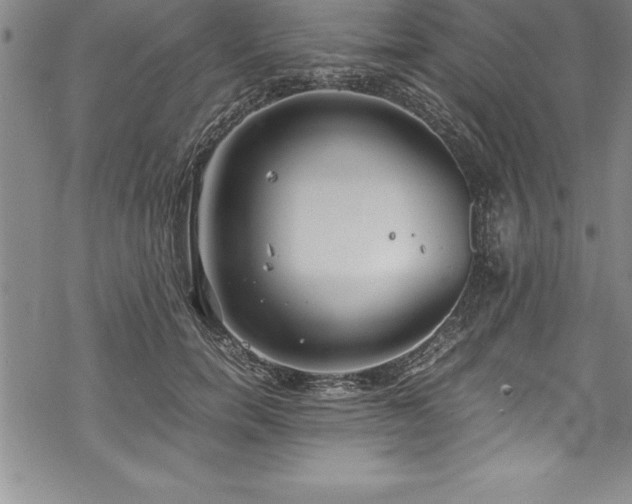 X0000069390750200605150943