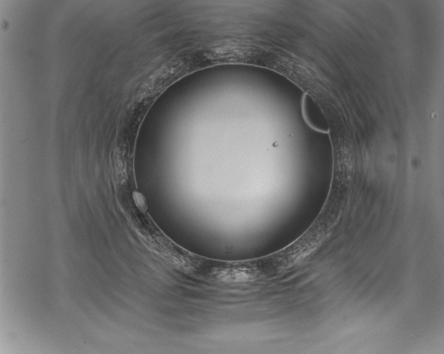 X0000069390751200605150943