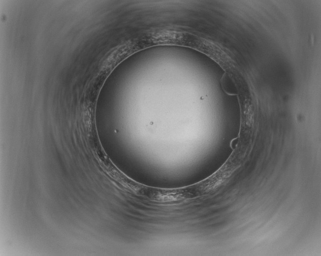 X0000069390753200605150943