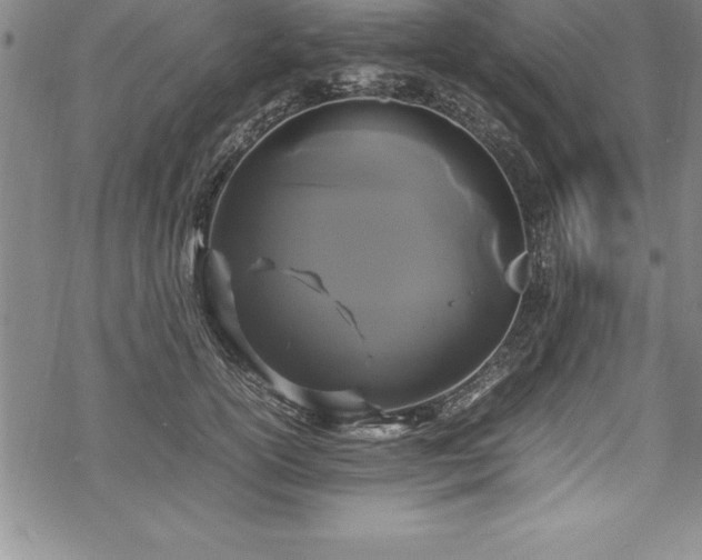 X0000069390754200605150943