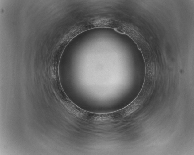 X0000069390755200605150943