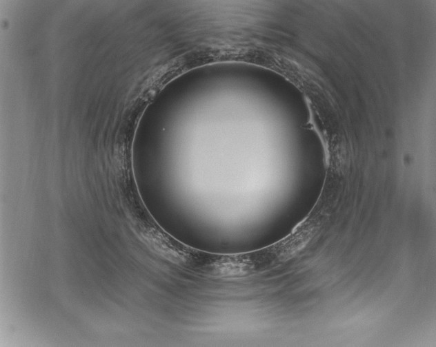 X0000069390756200605150943