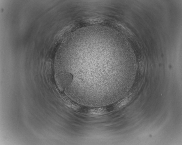 X0000069390757200605150943