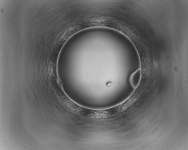 X0000069390758200605150943