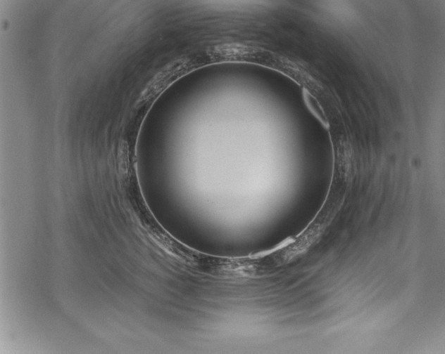 X0000069390760200605150943