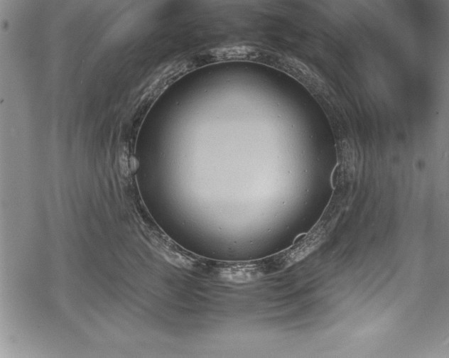 X0000069390761200605150943