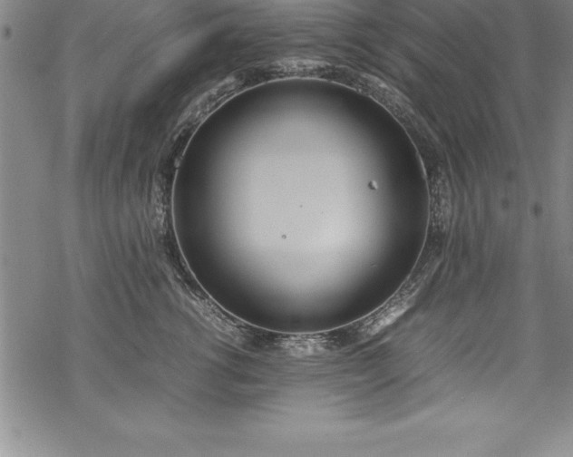 X0000069390762200605150943