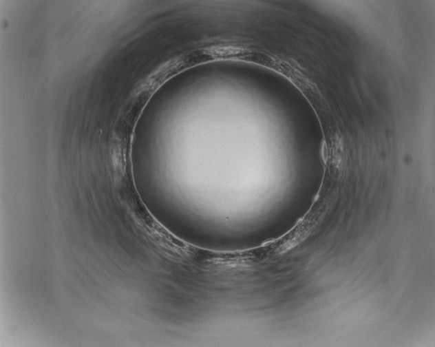 X0000069390763200605150943