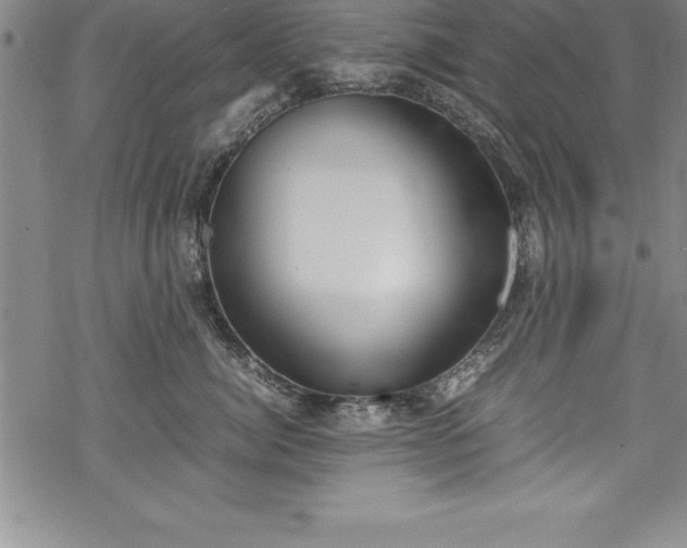 X0000069390764200605150943