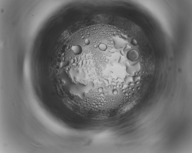 X0000069390765200605150943