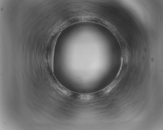 X0000069390766200605150943