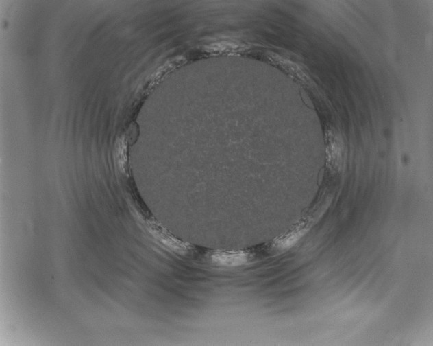 X0000069390767200605150943