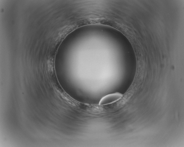 X0000069390768200605150943