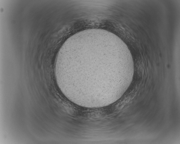 X0000069390769200605150942