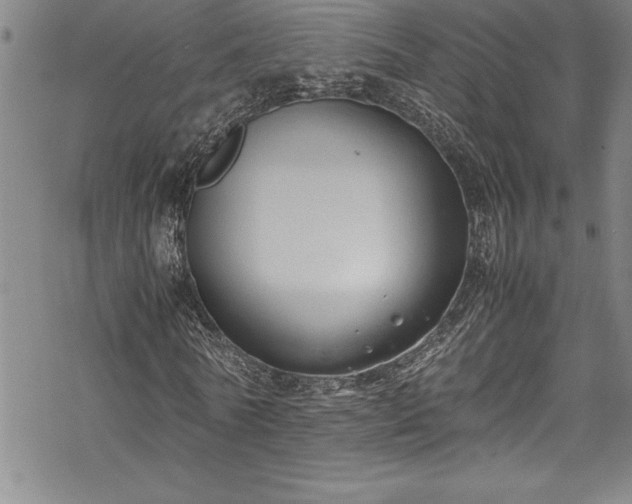 X0000069390770200605150942