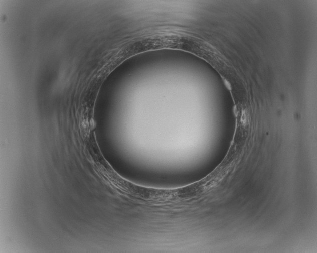 X0000069390771200605150942